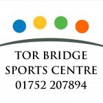 TorBridgeLogo